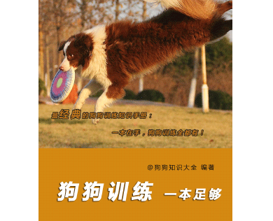 狗狗训练一本足够_训狗教程正版PDF