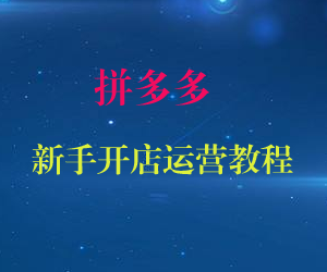 拼多多新手开店运营教程（共13课）