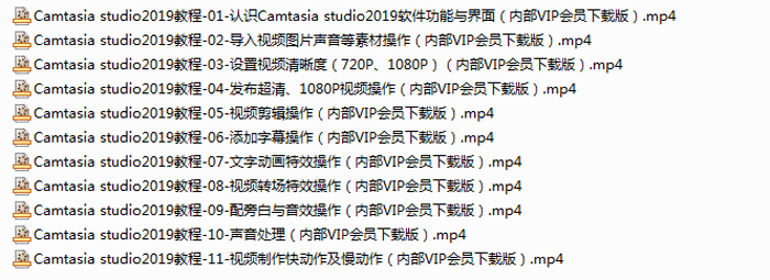 Camtasia studio2019视频教程