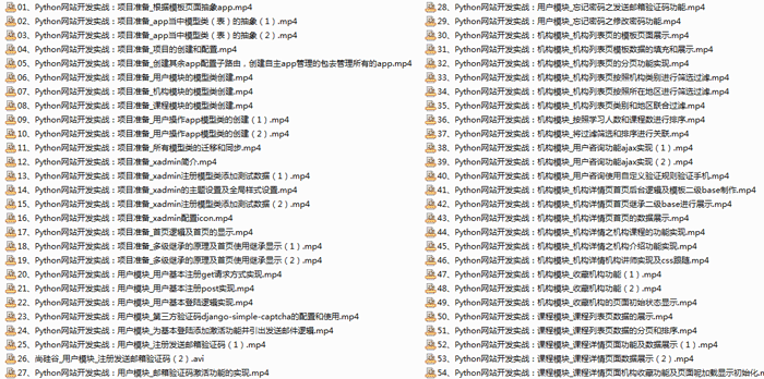 Python网站开发实战