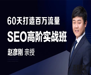 60天打造百万流量SEO高阶实战班