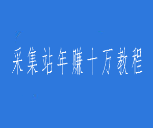 2020采集站年赚十万教程