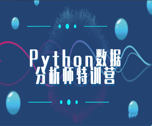 Python数据分析师全套课程84课