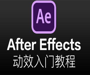 【After Effects教程】AE动效入门教程