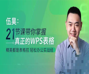 WPS表格教程21节课带你掌握WPS表格