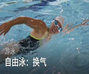 超清零基础学游泳教学视频全集