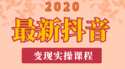 抖音变现实操VIP课程2020