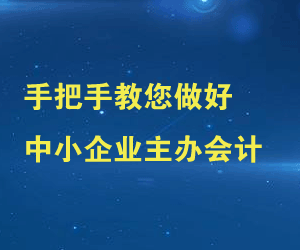 手把手教您做好中小企业主办会计