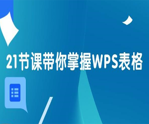 21天WPS表格训练营	