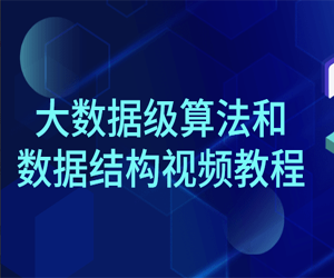 大数据级算法和数据结构视频教程