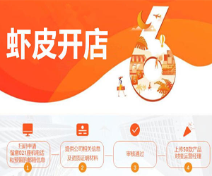 跨境电商Shopee(虾皮）基础运营实操课