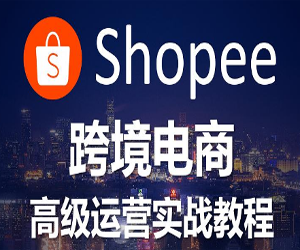 东南亚跨境电商Shopee实战运营课程