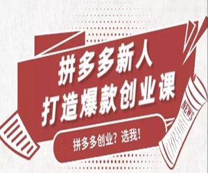 拼多多新人打造爆款创业课