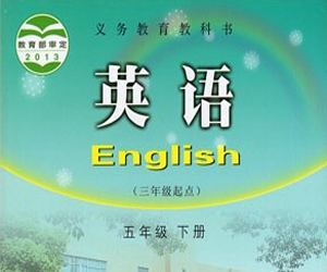 湘少版小学五年级英语下册教学视频