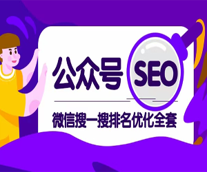 公众号SEO微信搜一搜排名优化全套