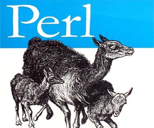 perl语言入门教程