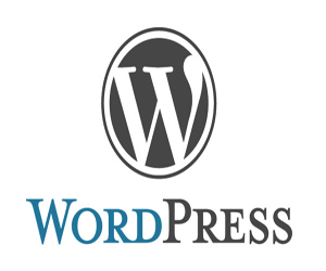 WordPress从零开始外贸建站