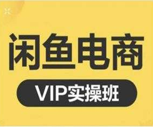 闲鱼电商零基础入门到进阶VIP实战课程