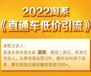 2022淘系直通车低价引流