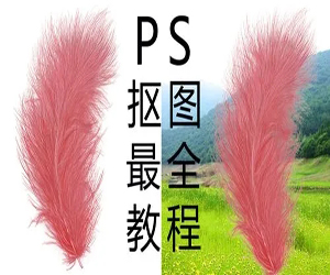 Photoshop零基础抠图秘技