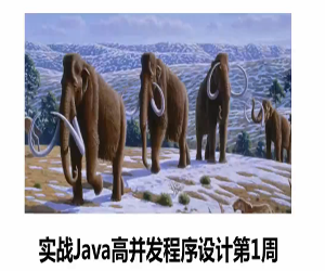 实战Java高并发程序设计