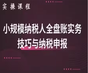 小规模纳税人全盘真帐实操账务处理及纳税申报